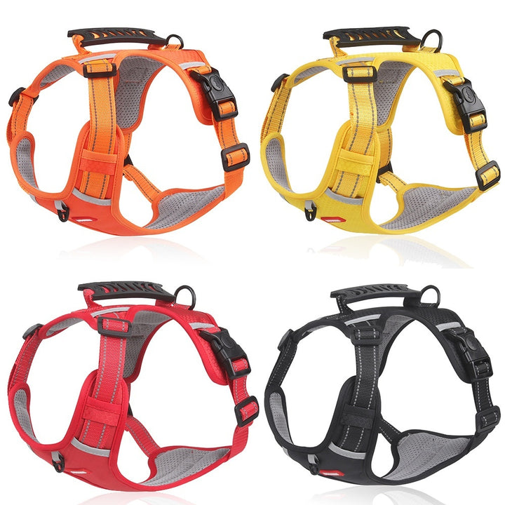 ColorFlex™ Komfort-Geschirr