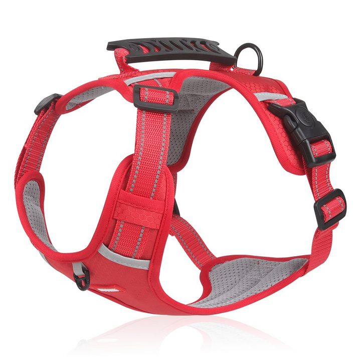 ColorFlex™ Komfort-Geschirr