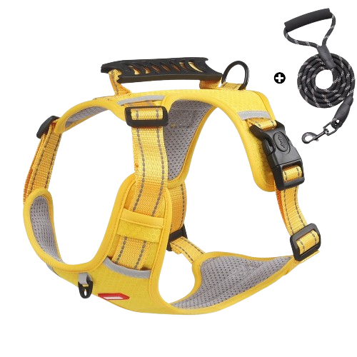 ColorFlex™ Komfort-Geschirr