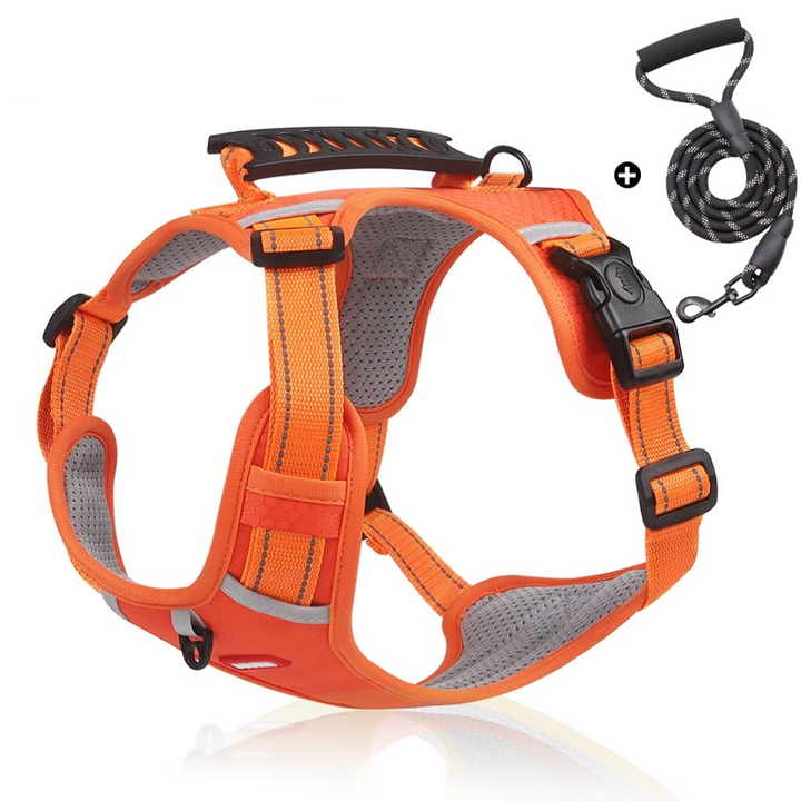 ColorFlex™ Komfort-Geschirr