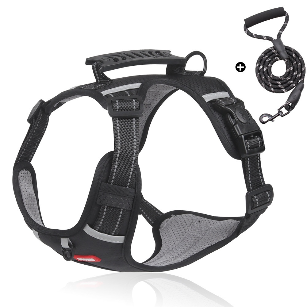 ColorFlex™ Komfort-Geschirr