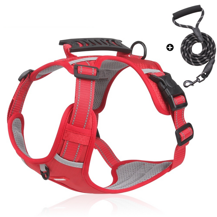 ColorFlex™ Komfort-Geschirr